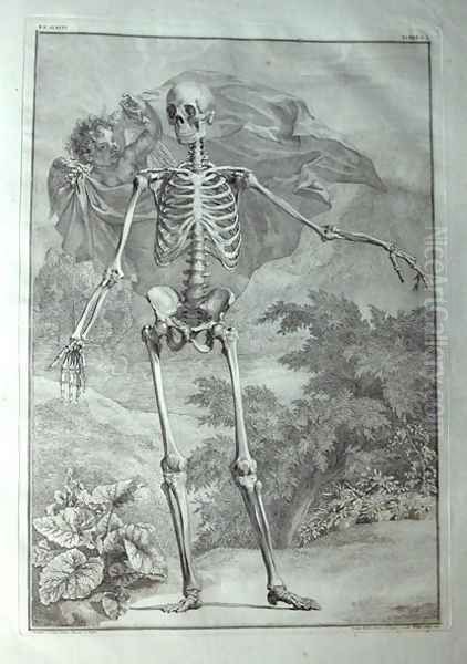 Albinus I, Tab. I: Skeleton, illustration from 'Tabulae sceleti et musculorum corporis humani', by Bernhard Siegfried Albinus (1697-1770), published by J.&H. Verbeek, bibliop., Leiden, 1740 Oil Painting by Jan Wandelaar