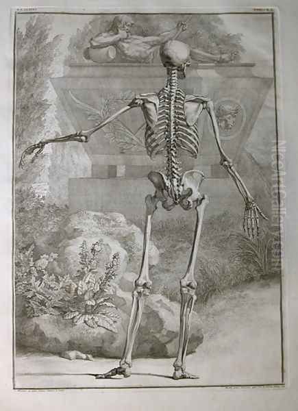 Albinus I, Tab. II: Skeleton, illustration from 'Tabulae sceleti et musculorum corporis humani', by Bernhard Siegfried Albinus (1697-1770), published by J.&H. Verbeek, bibliop., Leiden, 1740 Oil Painting by Jan Wandelaar