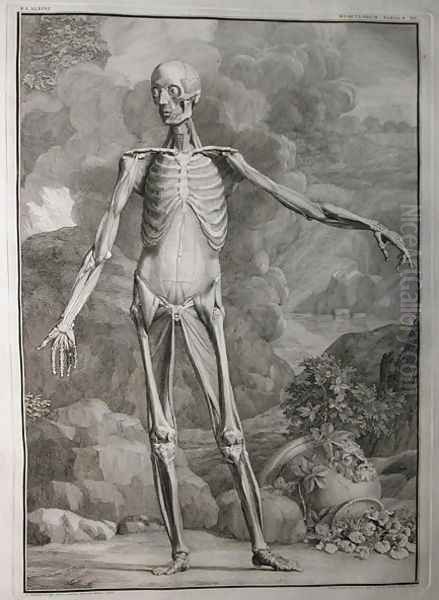 Albinus I, Tab. III: Musculature, illustration from 'Tabulae sceleti et musculorum corporis humani', by Bernhard Siegfried Albinus (1697-1770), published by J.&H. Verbeek, bibliop., Leiden, 1747 Oil Painting by Jan Wandelaar