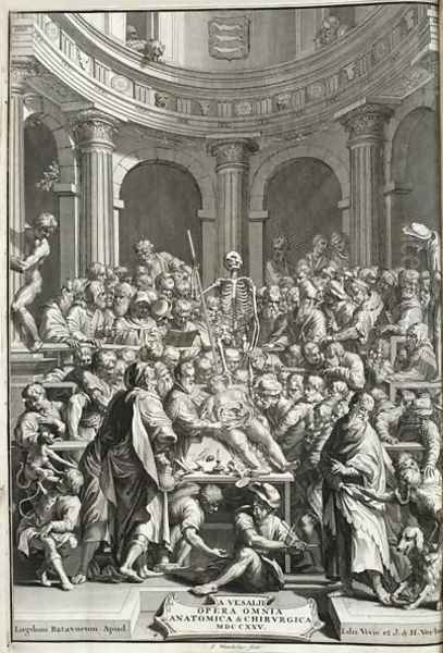 Public dissection in an anatomy theatre, 1725 Oil Painting by Jan Wandelaar