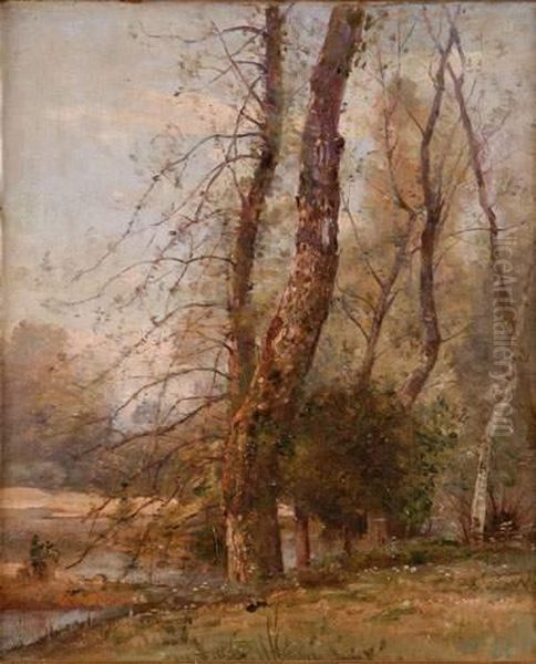 Arbre Pres D'une Riviere Oil Painting by Louis-Aime Japy