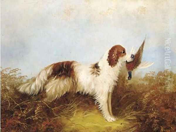 A gun dog with a pheasant Oil Painting by William Tom Warrener