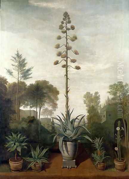 A Botanical Garden Oil Painting by Mathias Withoos