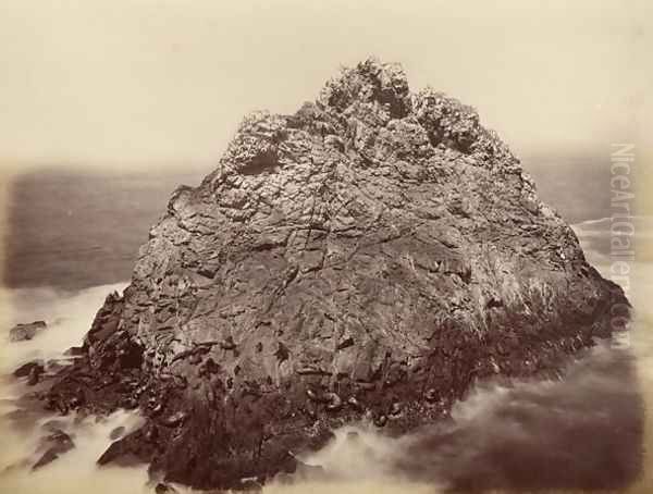 Sugar Loaf Island, Farallon National Wildlife Refuge, California, USA, 1869 Oil Painting by Carleton Emmons Watkins