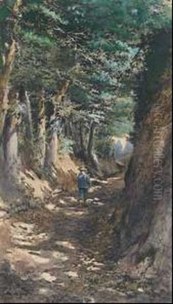 Stroll In A Shaded Lane Oil Painting by Jose Jimenez y Aranda