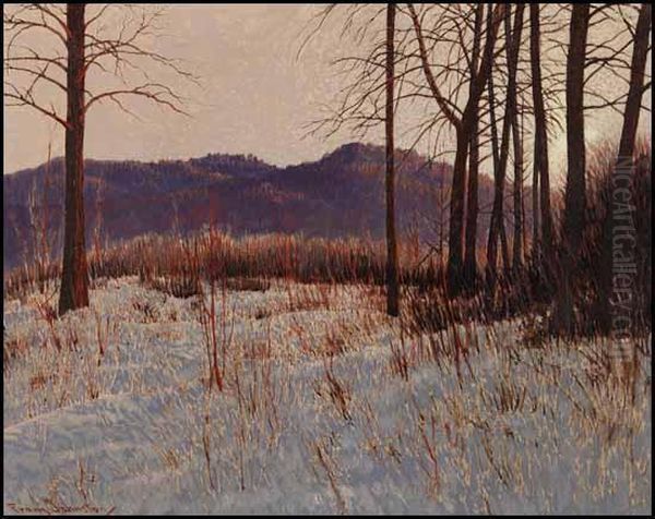 Frost And Rime Oil Painting by Franz Hans Johnston