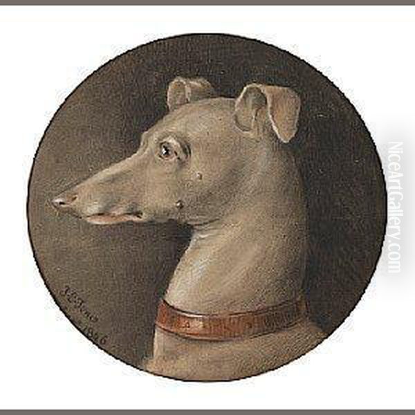 Portrait Bust Of A Whippet, 