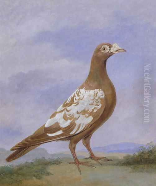 Red Pied Carrier Pigeon Oil Painting by Dean Wolstenholme, Jr