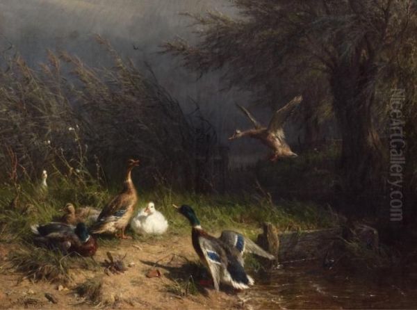 Enten Am Bachufer Oil Painting by Carl Jutz