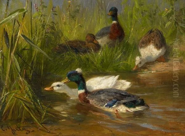 Ducks At A Stream Bank Oil Painting by Carl Jutz