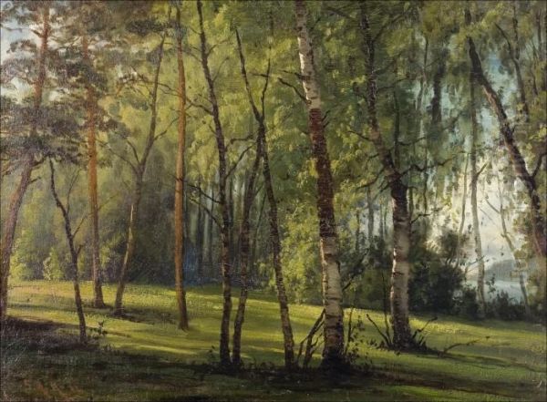 Puistonakyma. Oil Painting by Sigfrid August Keinanen