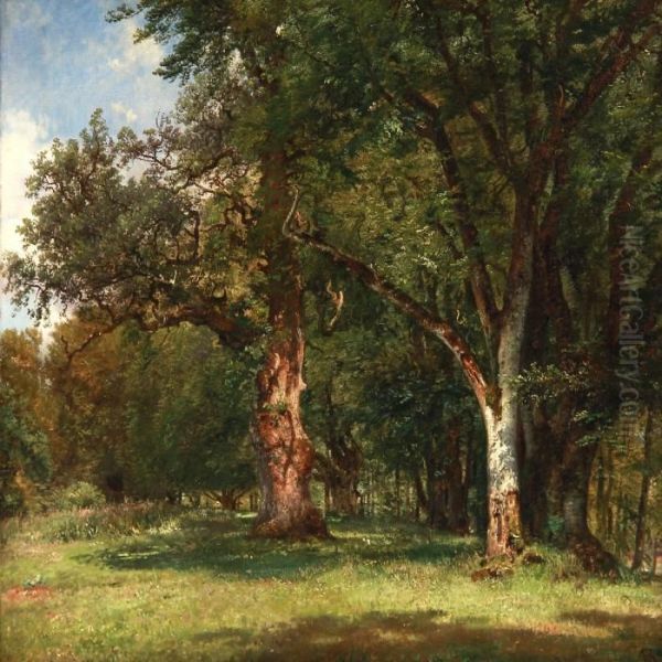 Summer Day In The Deer Garden With Oak Trees, Denmark Oil Painting by Anton Edvard Kieldrup