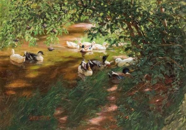 Ducks On The Water Oil Painting by Alexander Max Koester