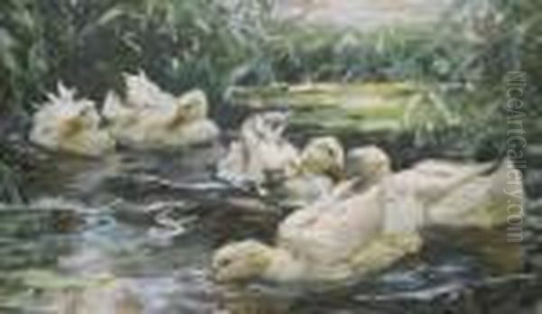 Enten Im Schilfteich Oil Painting by Alexander Max Koester