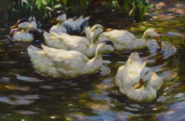 Ducks In The Reeds Oil Painting by Alexander Max Koester