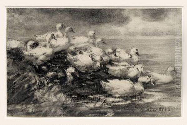 Enten Am Seeufer Oil Painting by Alexander Max Koester