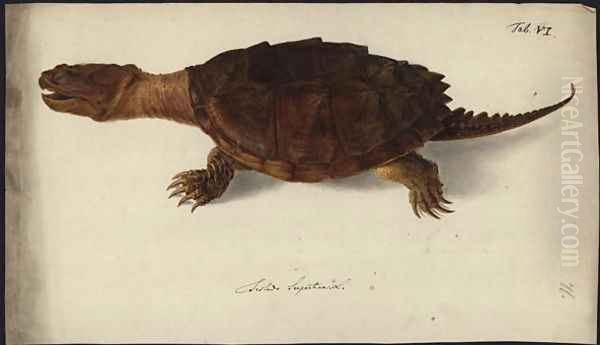 Chelydra serpentina, before 1792 Oil Painting by Friedrich Wilhelm Wunder