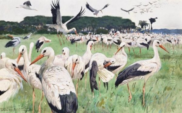 White Stork Oil Painting by Wilhelm Kuhnert