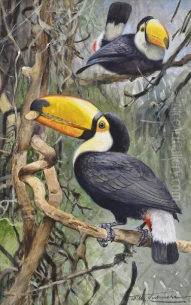 Toucans Oil Painting by Wilhelm Kuhnert