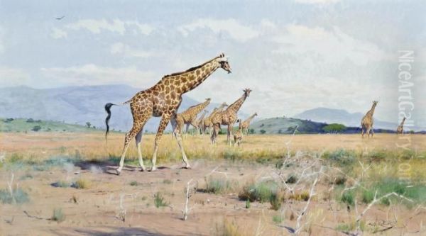 Giraffes Oil Painting by Wilhelm Kuhnert