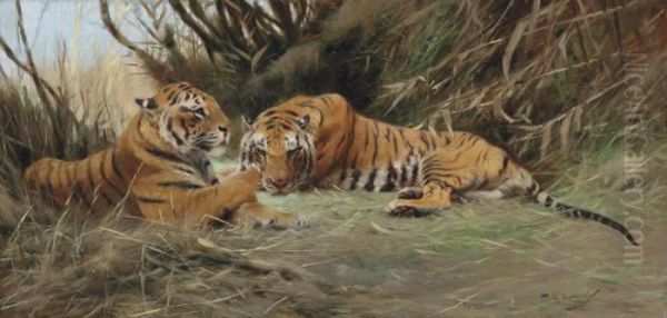 Tigers At Dawn Oil Painting by Wilhelm Kuhnert