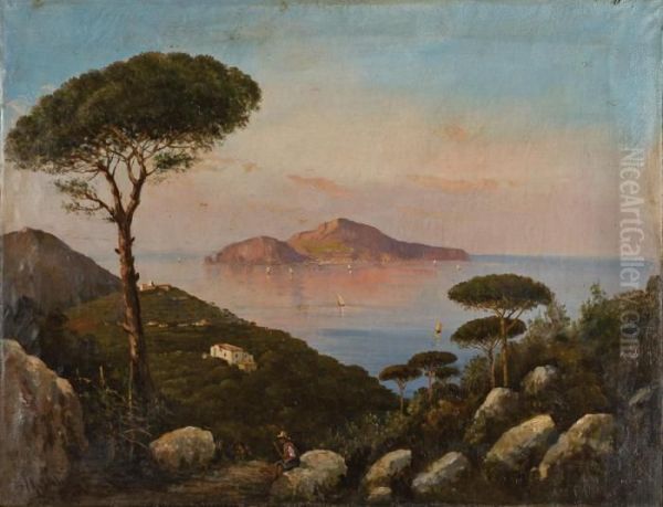 Veduta Di Capri Oil Painting by Alessandro la Volpe