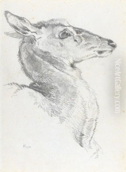 Head Of A Deer For The Chevy Chase Oil Painting by Landseer, Sir Edwin