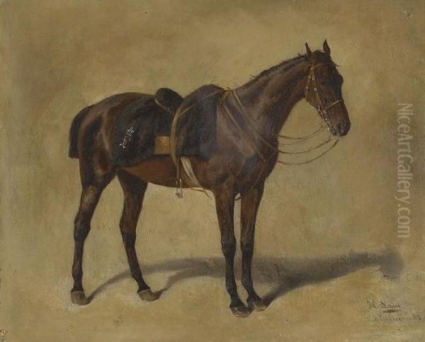 Gesatteltes Pferd Oil Painting by H.F. Lang