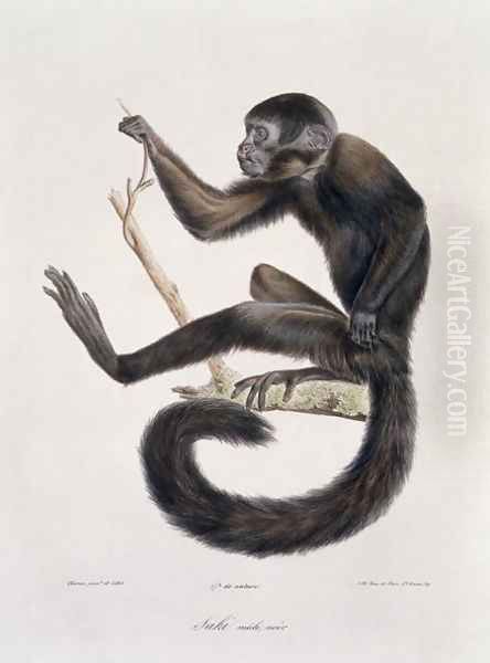 Saki Noir monkey, male, engraved by the artist, plate 367 (78) from Vol 4 of 'The Natural History of Mammals' by Georges Cuvier and E. Geoffroy Saint-Hilaire, pub. 1842 Oil Painting by Werner