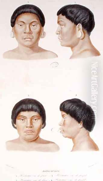 Anthropometric study of two Botocudos indians, engraved by Fournier, mid 19th century Oil Painting by Werner