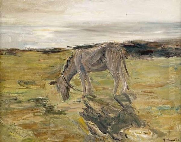 Esel In Den Dunen Oil Painting by Max Liebermann