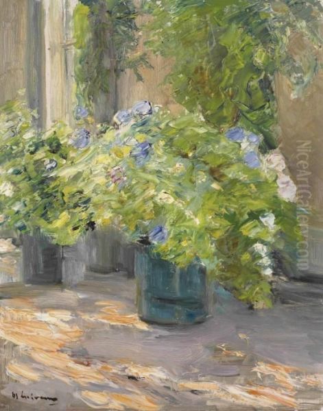 Blumentopfe Vor Dem Haus Oil Painting by Max Liebermann