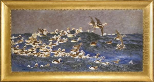 Alfagelflock I Havsbandet Oil Painting by Bruno Andreas Liljefors