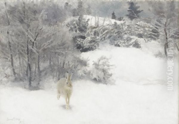 Hare I Vinterlandskap Oil Painting by Bruno Andreas Liljefors