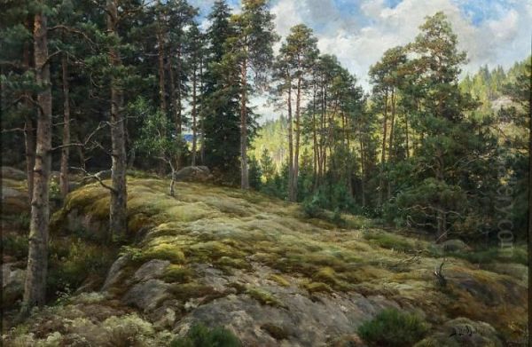 Kalliorinne Mantymetsassa Oil Painting by Berndt Adolf Lindholm