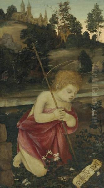 The Young Saint John The Baptist Oil Painting by Filippino Lippi