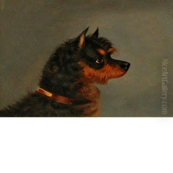 Norwich Terrier Oil Painting by Edwin Loder