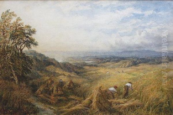 Harvesting Near Box Hill, Surrey Oil Painting by George Lucas