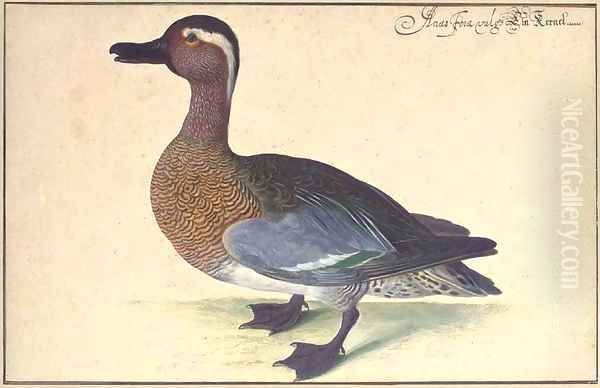 A male teal Oil Painting by Johann Jakob Walther