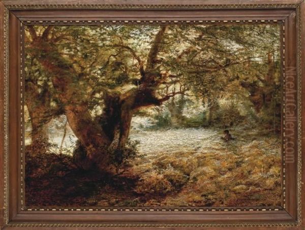 A Stalker In The Sunlit Woods Oil Painting by Andrew MacCallum