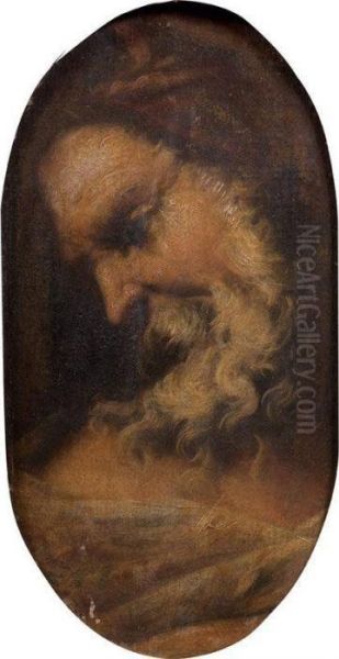 Profil D'homme Barbu Oil Painting by Francesco Maffei