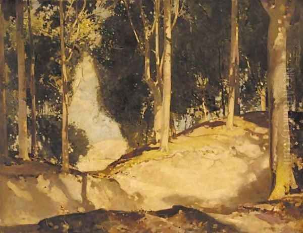 A sunlit woodland glade Oil Painting by Harry Watson