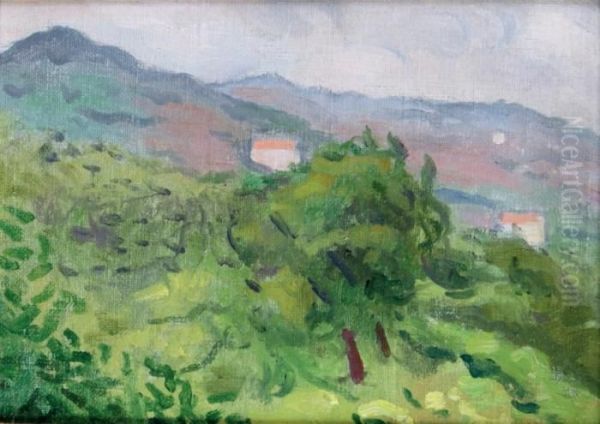 Paysage Pres De Ceret Oil Painting by Albert Marquet