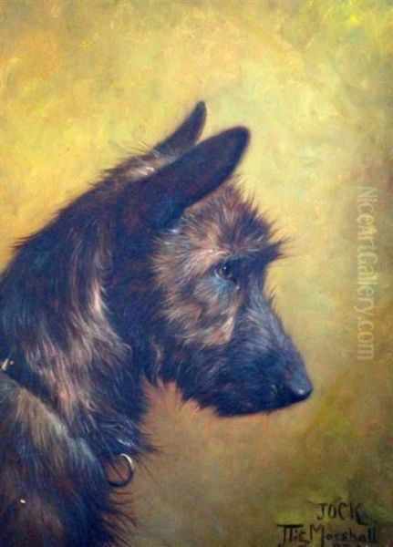 Portrait Of A Terrier Jock Oil Painting by John Fitz Marshall