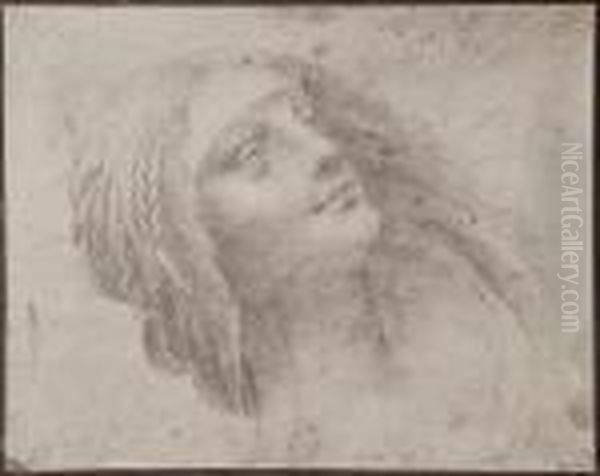 Study For The Virgin And Child With St.anne By Leonardo Oil Painting by Charles Marville