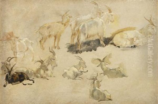 Studies Of Goats Oil Painting by George Hemming Mason