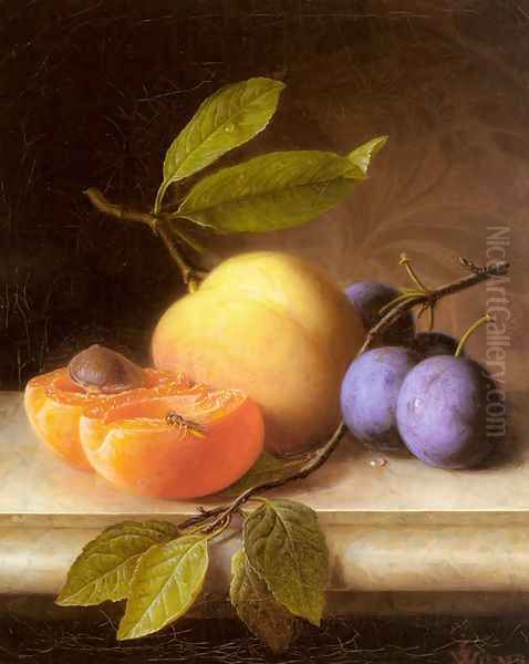 Stilleben Mit Pfirsich Und Pflaumen (Still Life with Peaches and Prunes) Oil Painting by Joseph Peter Wilms