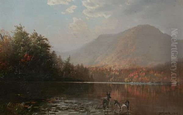 Deer In Mouintain Lake Oil Painting by George Herbert McCord