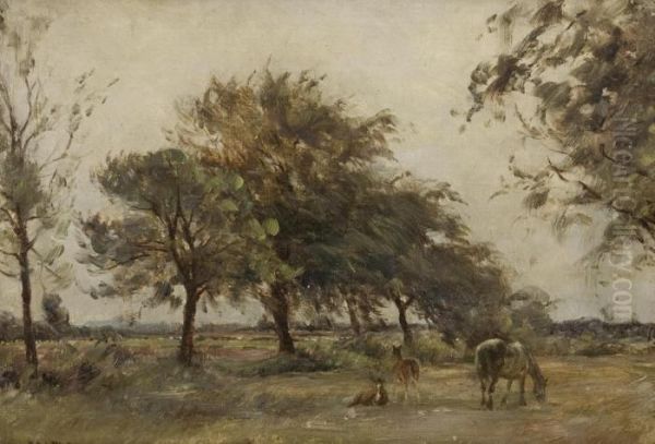 Horses Grazing Oil Painting by William Darling McKay