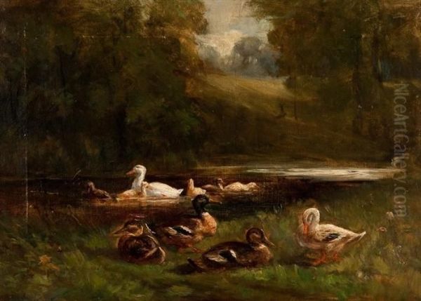 Ducks On The Lakeside Oil Painting by Christopher Meadows